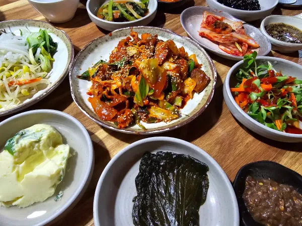 토속보리밭 사진 2