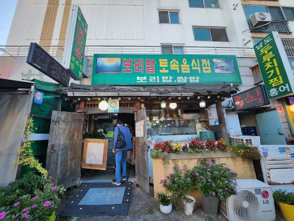 토속보리밭 사진 5