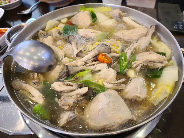 산야초 닭한마리