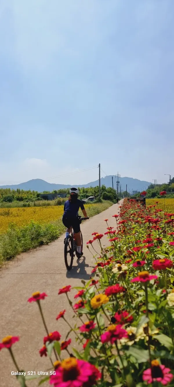 세마오리농원 사진 5