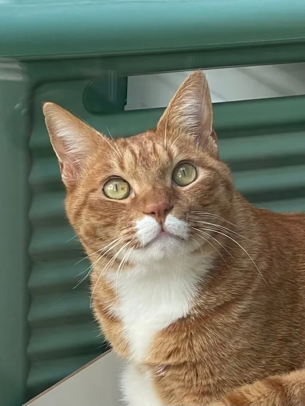 CAFE2112の写真4
