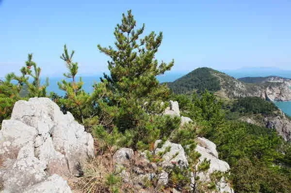 손죽도