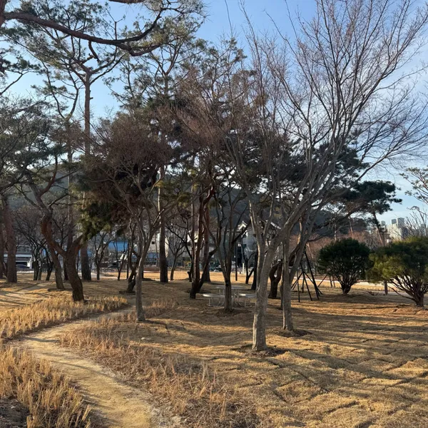 パンジュットンダンガンジジュ公園の写真3