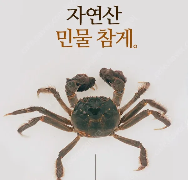 비원매운탕 사진 4