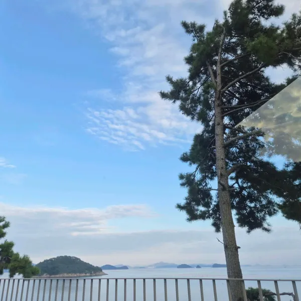 サンジョガムの写真5