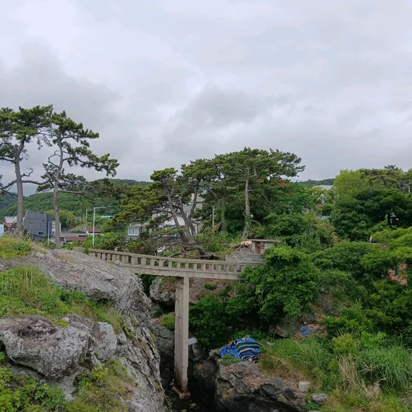 タンサハン海洋釣り公園の写真4