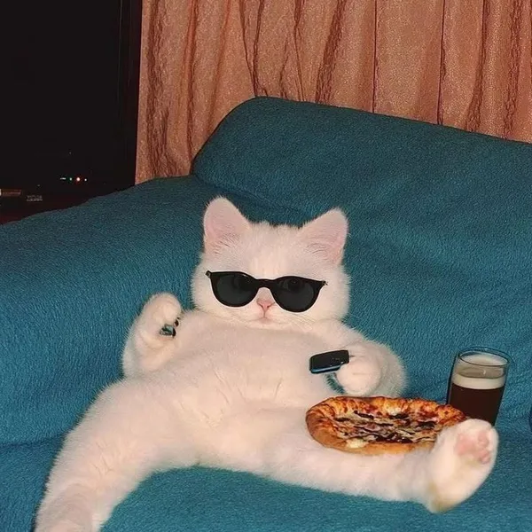 ピーターパン ドンカスの写真5