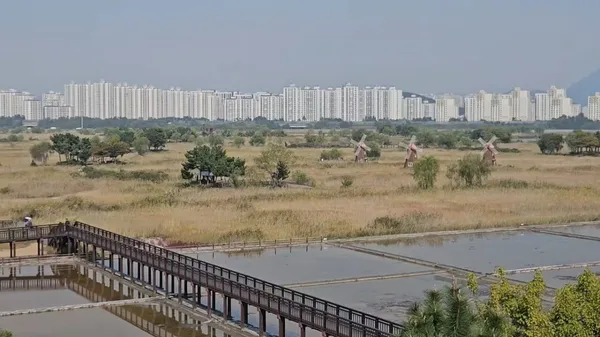 ソレ湿地生態公園