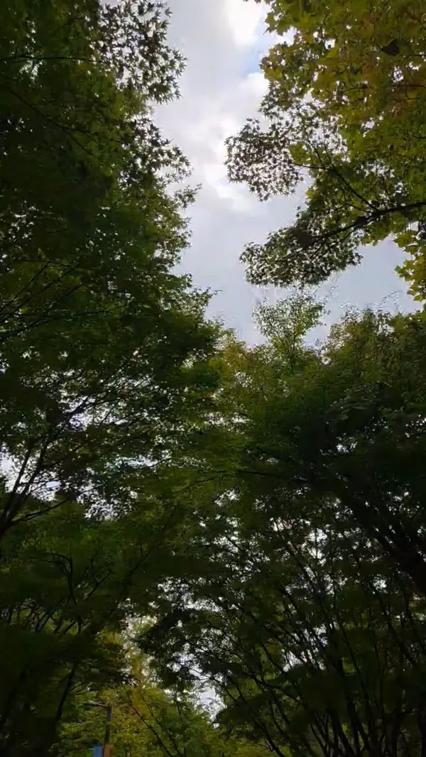 メホン市民の森