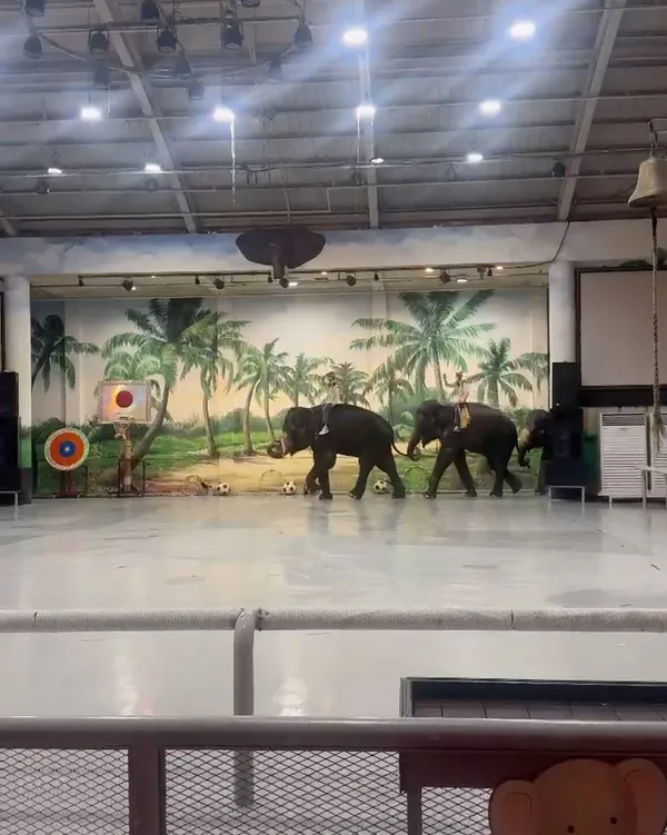 ジャンボビレッジの写真3