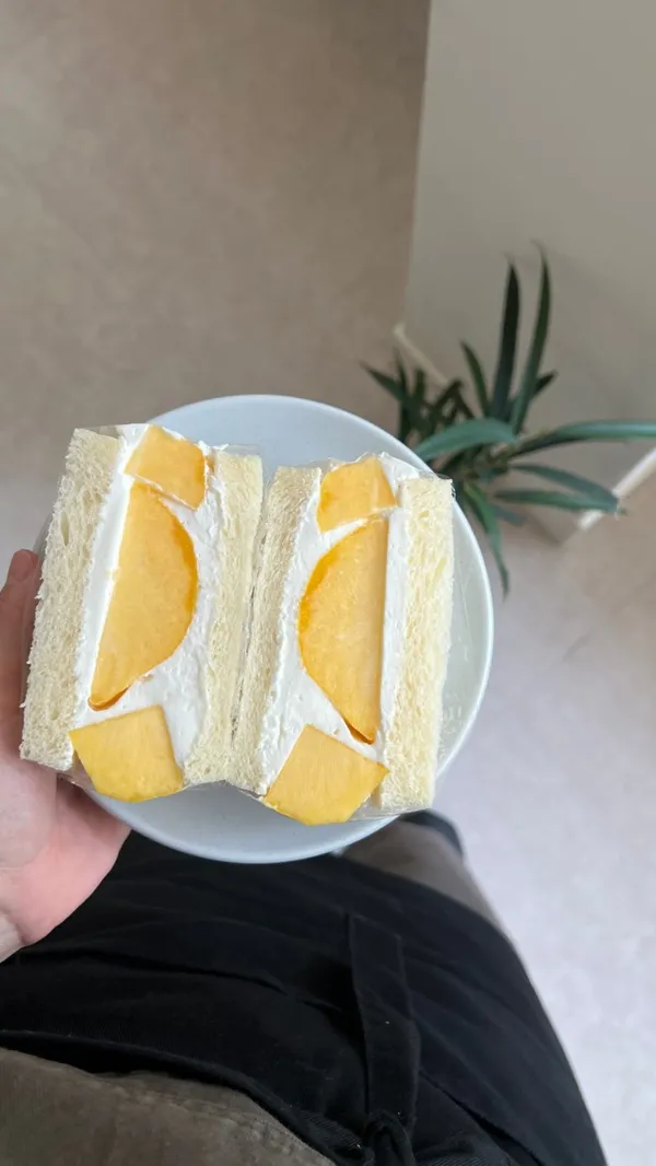 チャチャの写真3