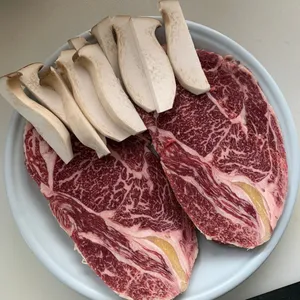 モクシム センゴギ