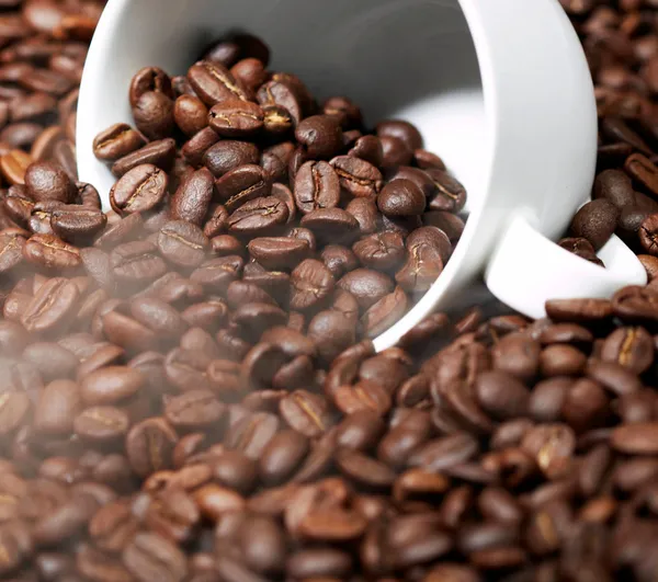 タセットコーヒー ロースターズの写真5