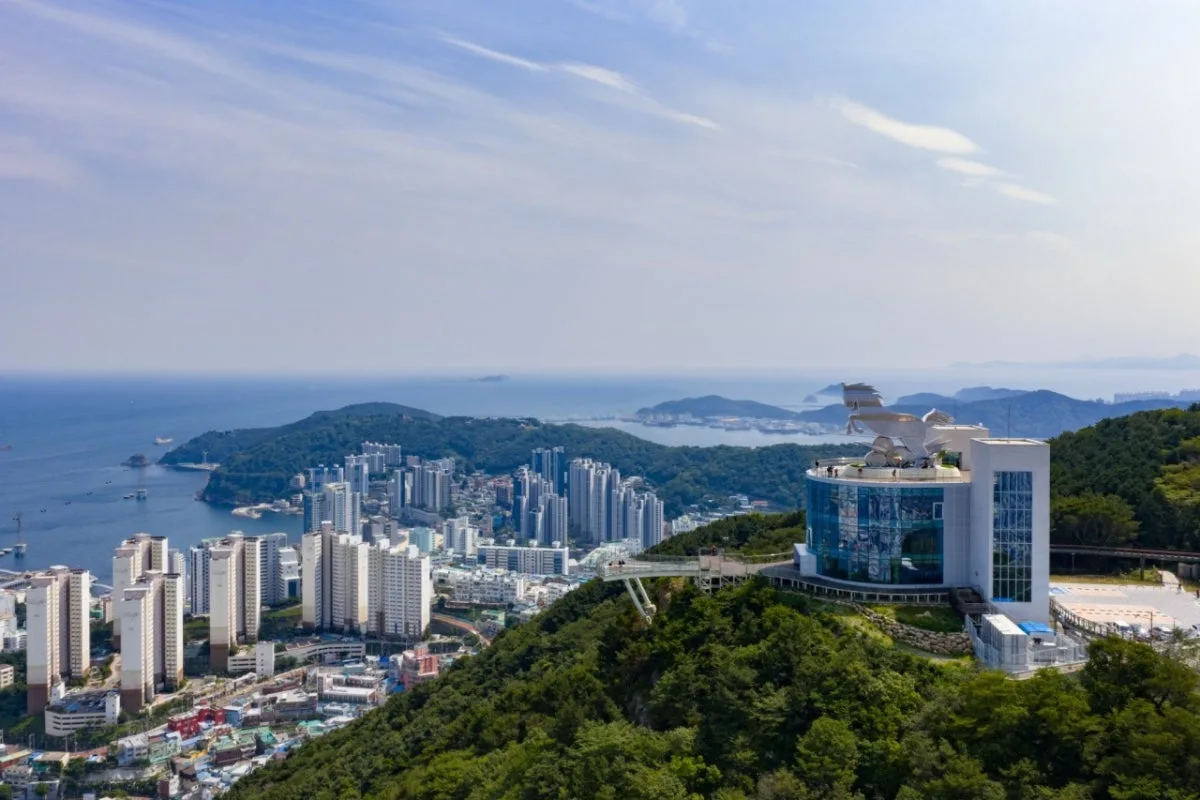 천마산 복합전망대 대표 사진