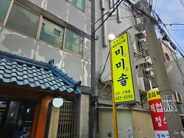 미미솔 사진 3