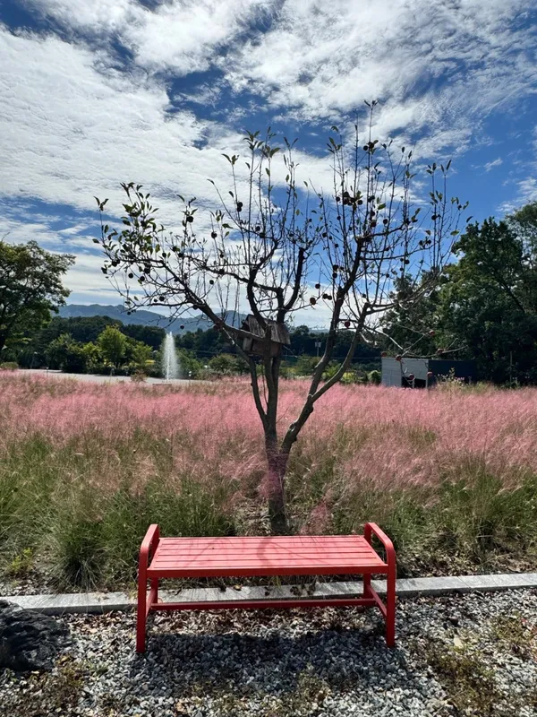 해듬카페 사진 2