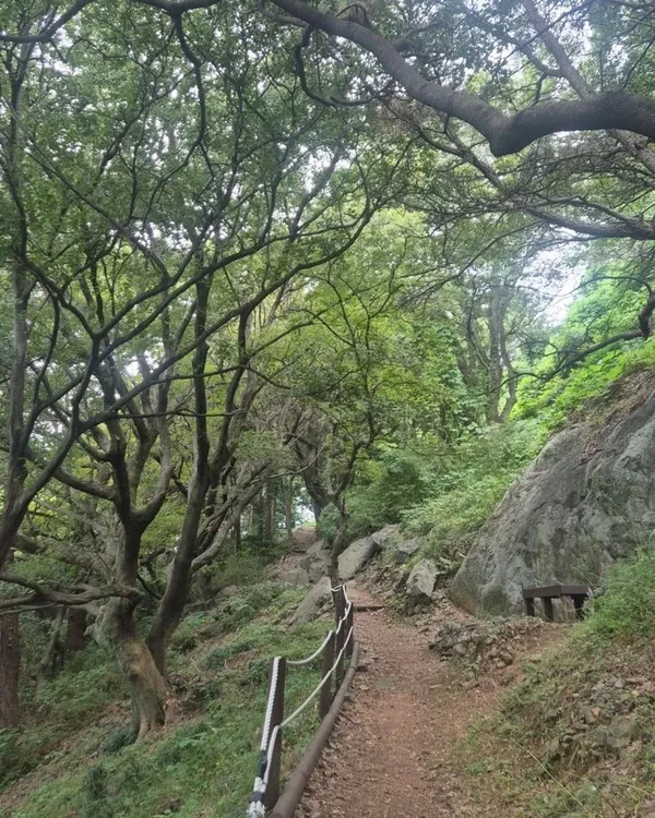 천마산 복합전망대 사진 5