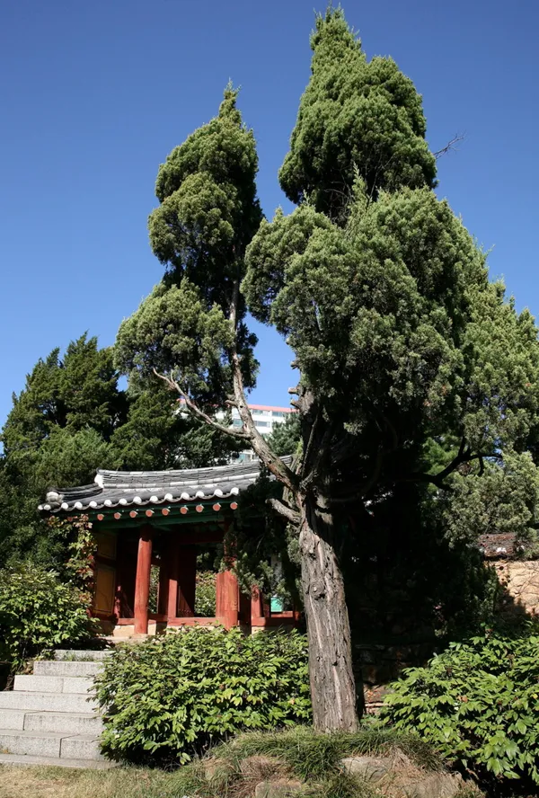 충현박물관 사진 2