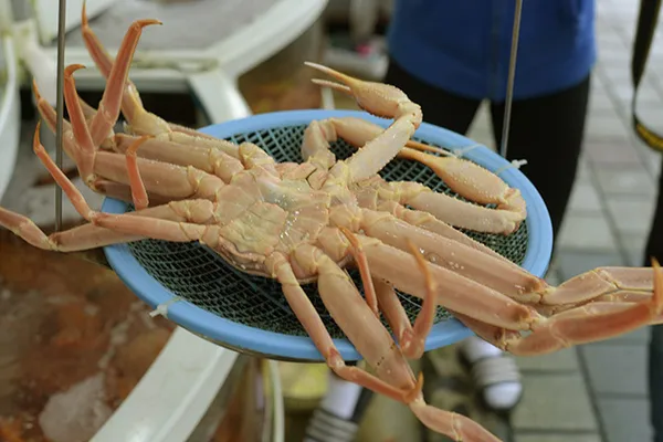 Jumunjin Red Crab Ganseok Branch, photo 4