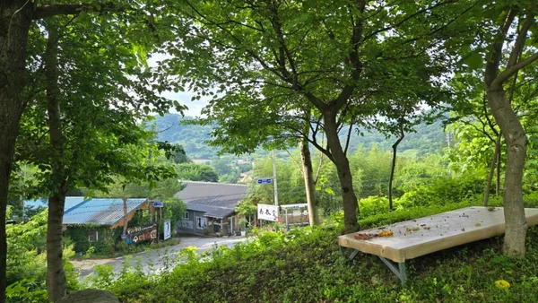 행춘당 사진 5