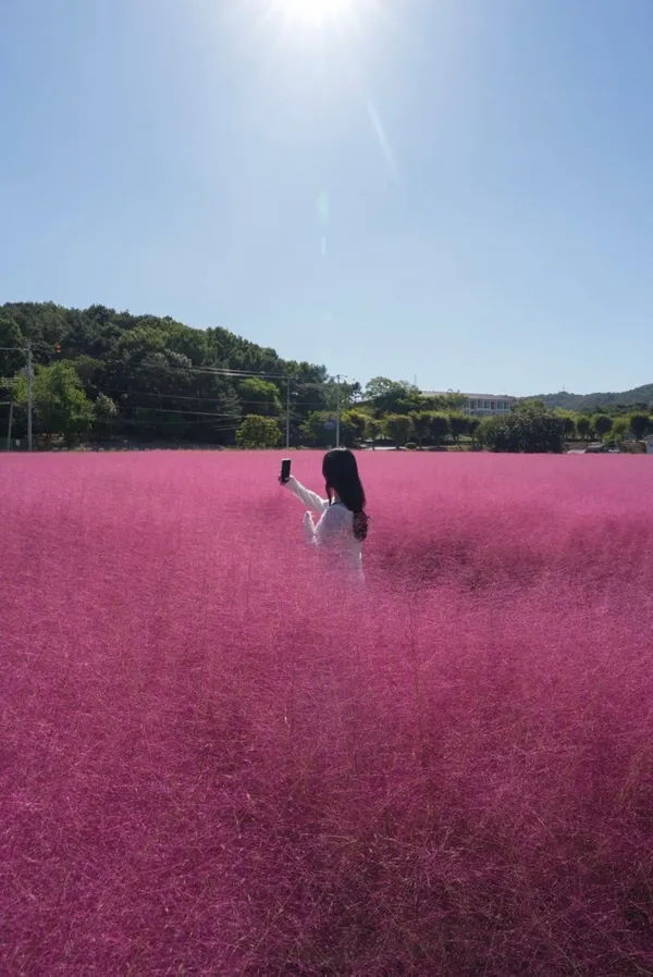 カフェチセウルの写真3