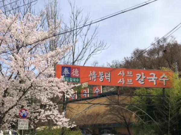 봉덕칼국수 사진 2