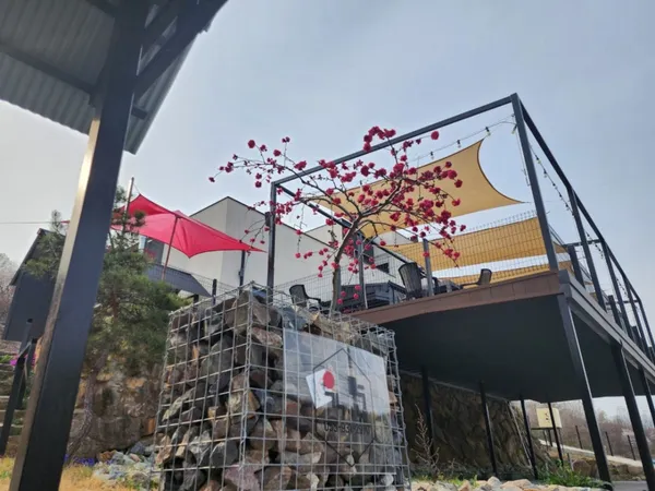 육면 사진 4