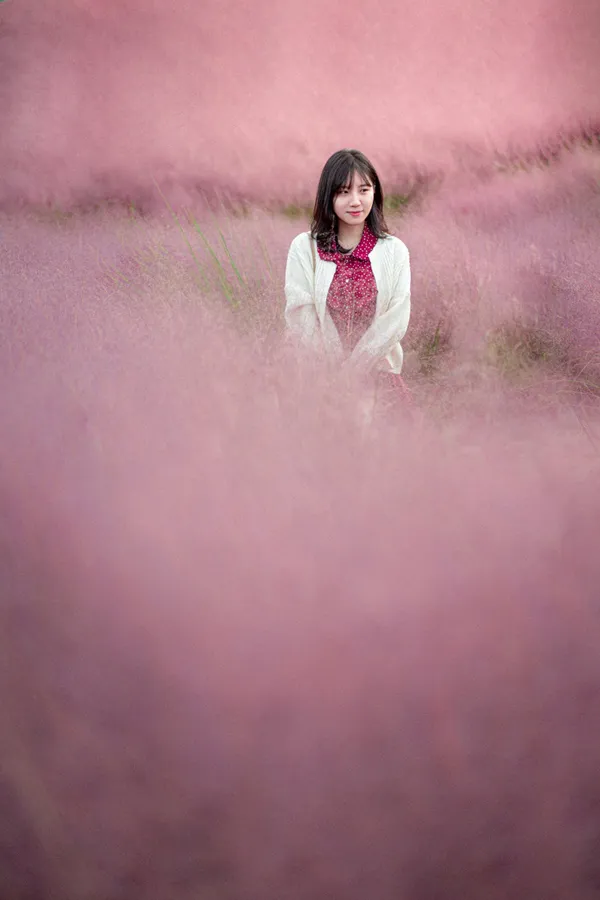 ホリンパークの写真2