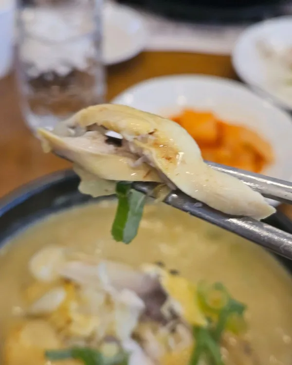 백세삼계탕 수원고색점 사진 3