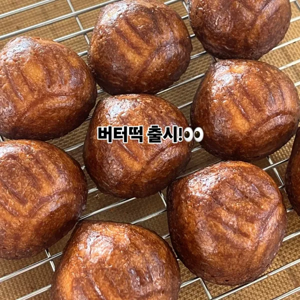 오르르 사진 5