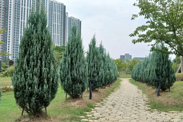 광명새빛공원 사진 5