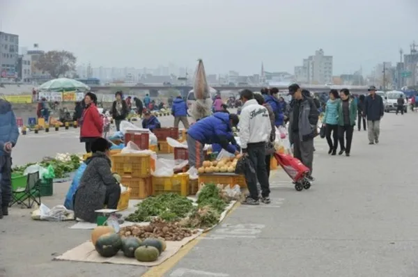 농업인새벽시장 사진 2