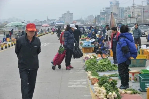농업인새벽시장 사진 3