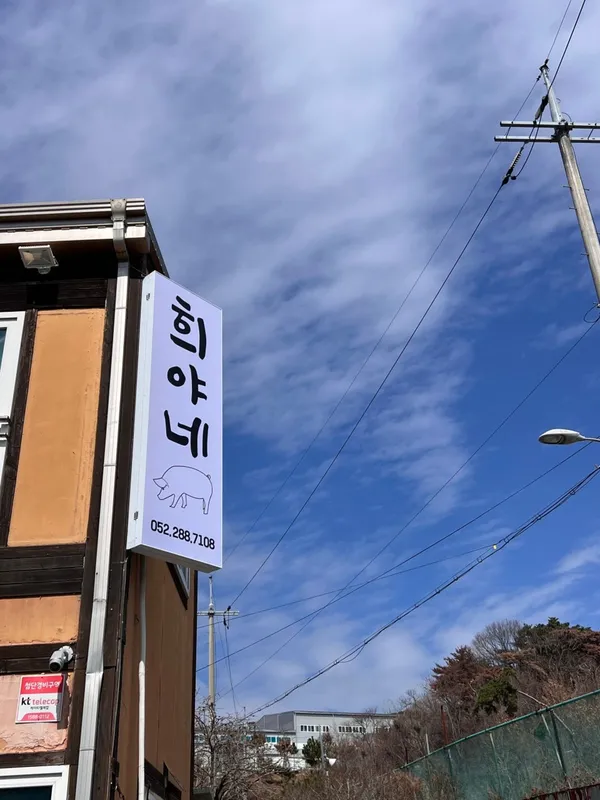 희야네 사진 5