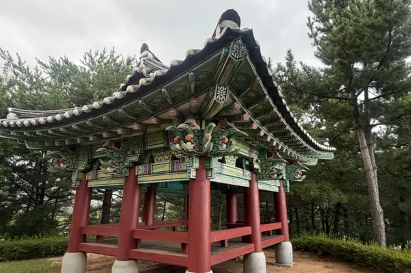 송지호 사진 2