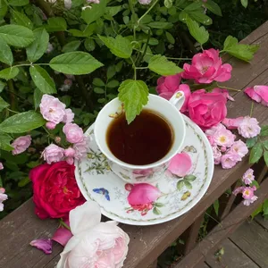 コーヒーフラワー