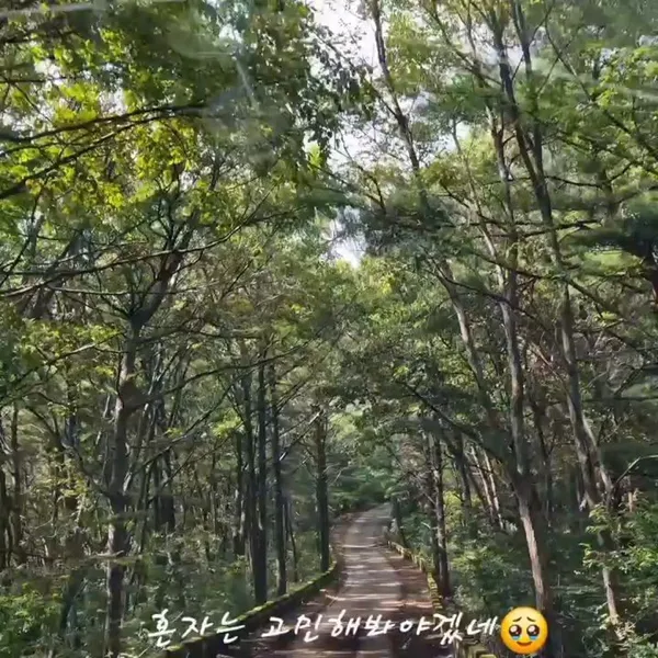오도산전망대