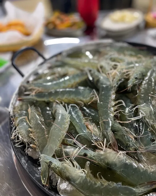 공룡고기새우 사진 3