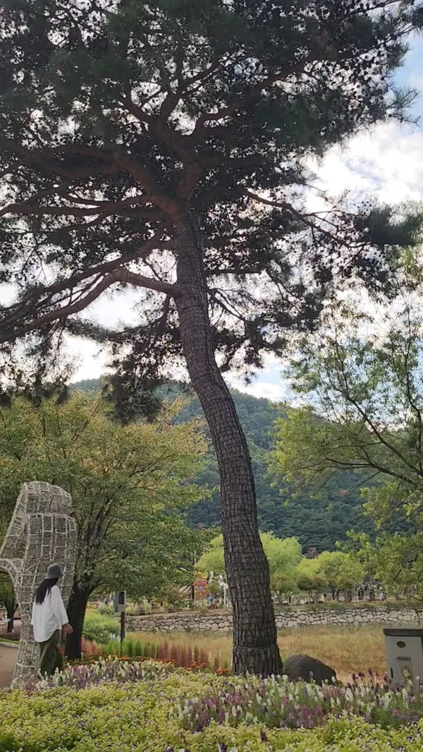옥연지 송해공원 사진 4
