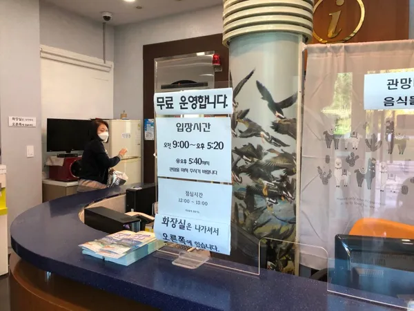 송지호관망타워 사진 3