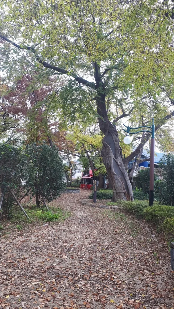 포구나무집 사진 5