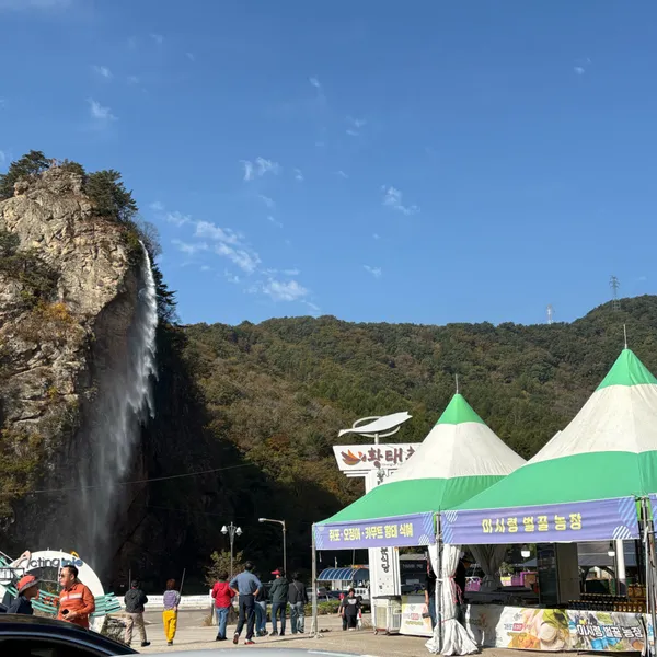 인제용대리황태마을 사진 4