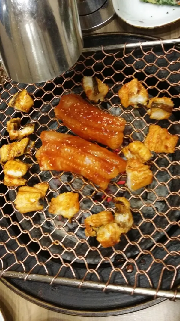 파라솔장어 사진 4