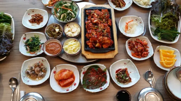 파라솔장어 사진 2