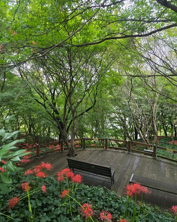 정읍사문화공원 사진 3