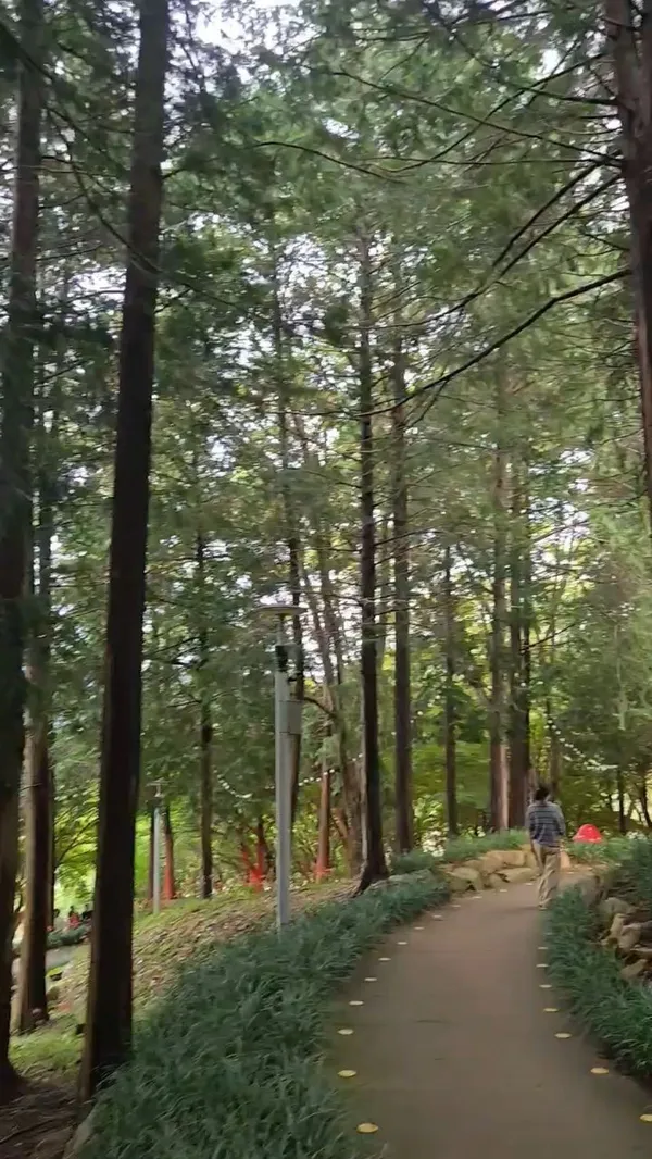 정읍사문화공원 사진 4