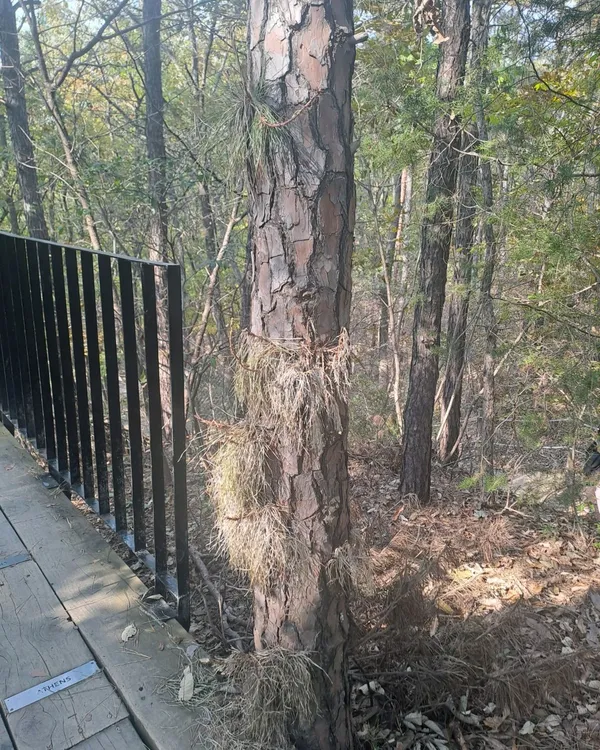 안양예술공원 사진 5