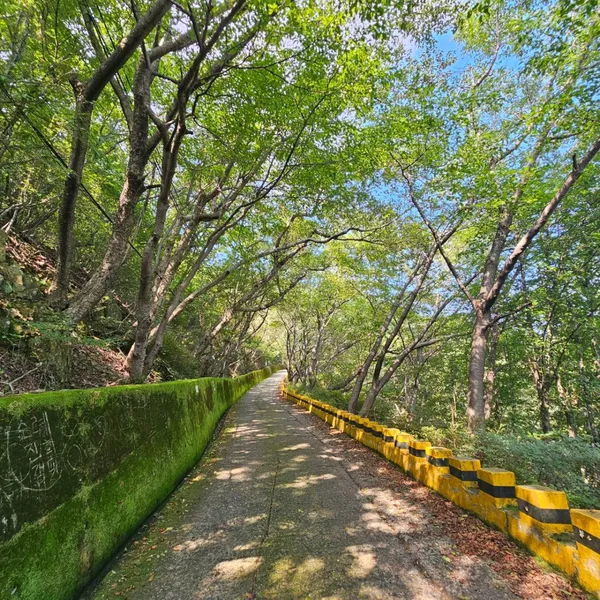부산 가볼 만한 곳 12곳