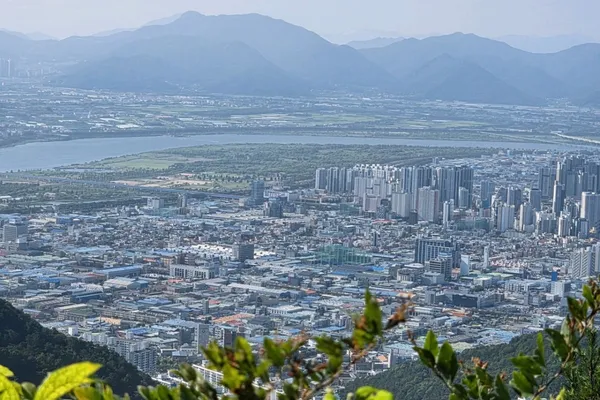 구덕산 사진 2