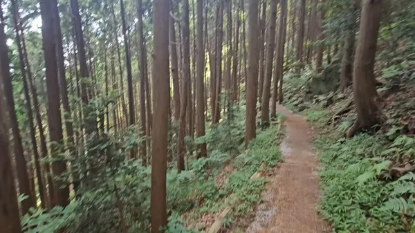 구덕산 사진 4